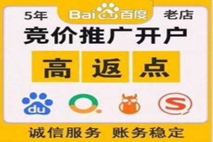 充值返点机制在社交平台的应用案例